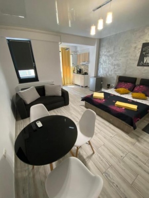 Garsoniera King Tip Studio Resort Building Stefan